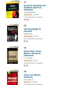 Bestseller Baby Book #13 on Amazon in Music Business Books